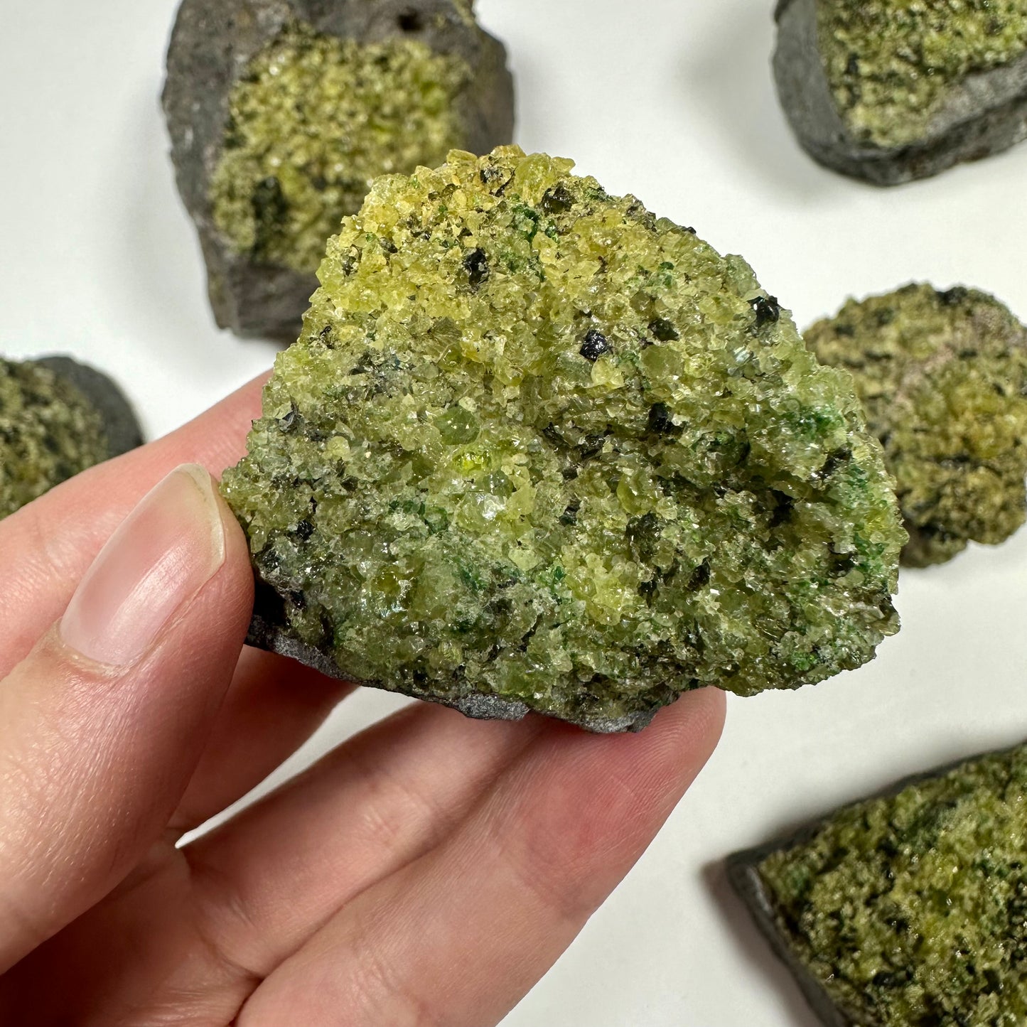 Peridot Cluster on Basalt (B)