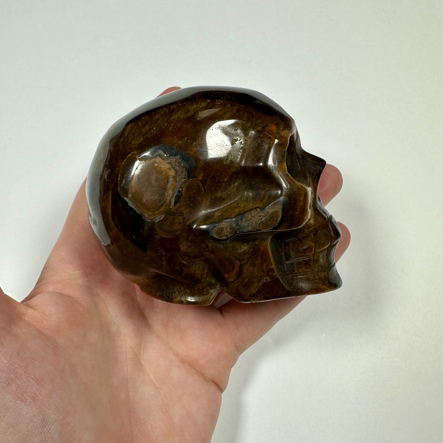 Tigers Eye Skull (A)