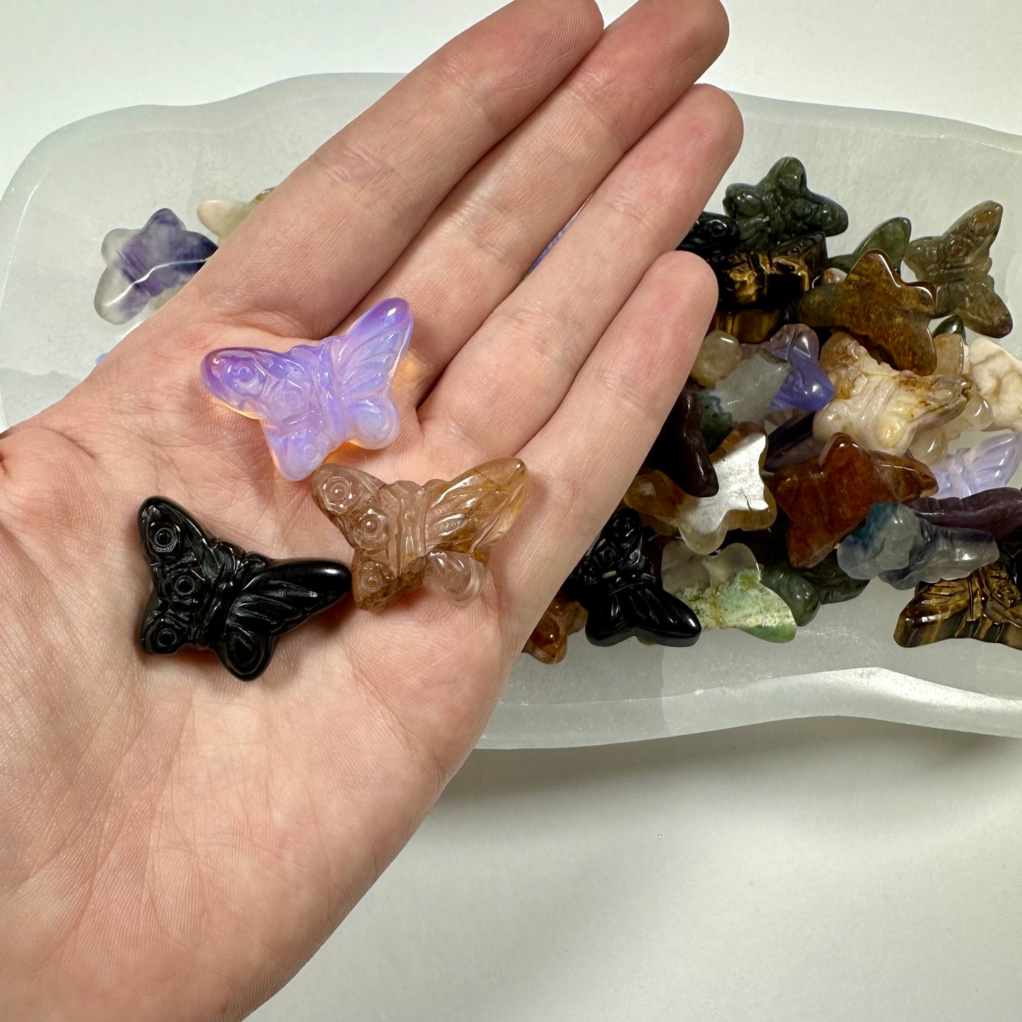 3 Mystery Mini Butterflies