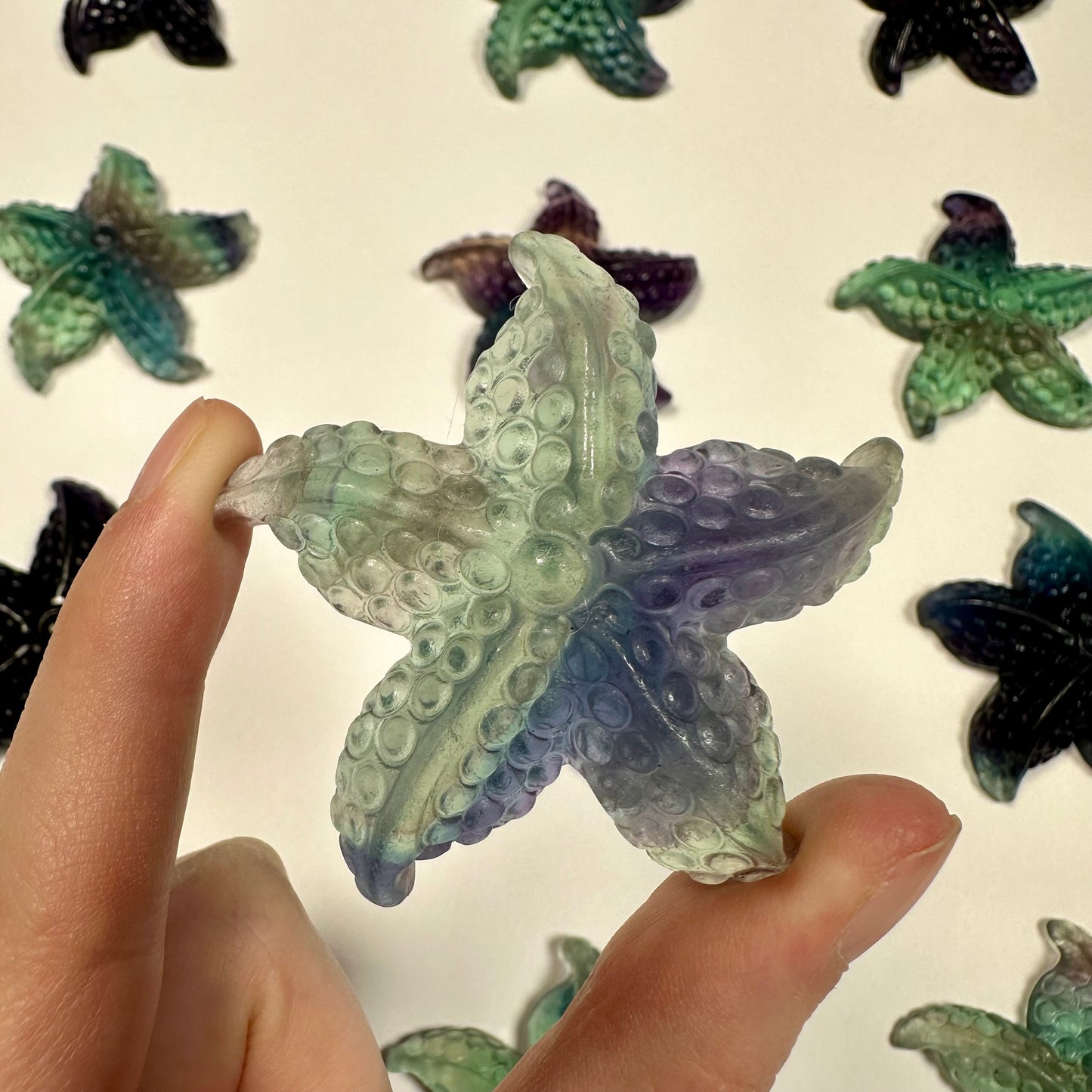 Gorgeous fluorite starfish (E)