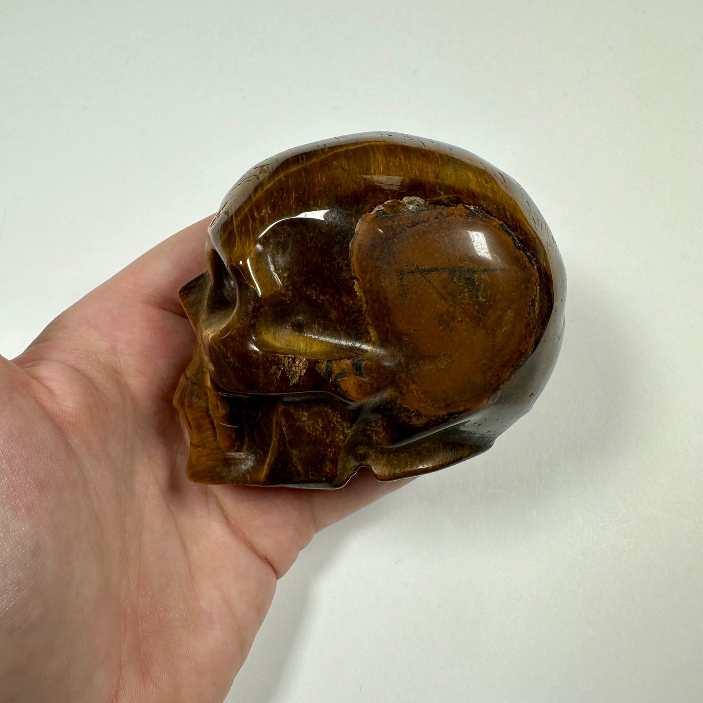 Tigers Eye Skull (A)