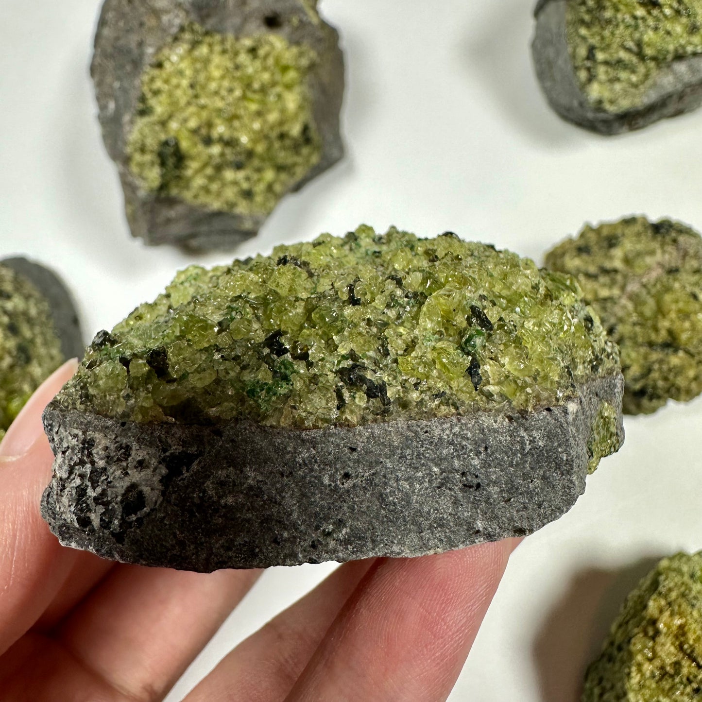 Peridot Cluster on Basalt (C)