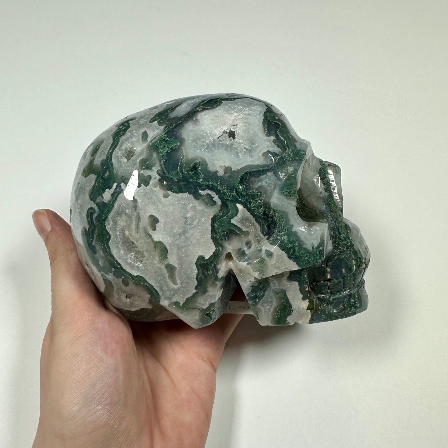 Druzy Moss Agate Skull (A)
