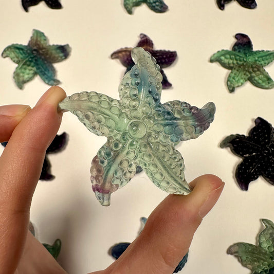 Gorgeous fluorite starfish (B)