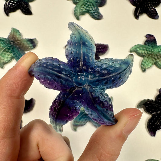 Gorgeous fluorite starfish (D)