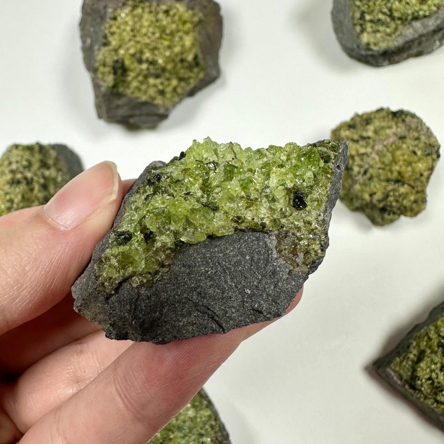 Peridot Cluster on Basalt (A)