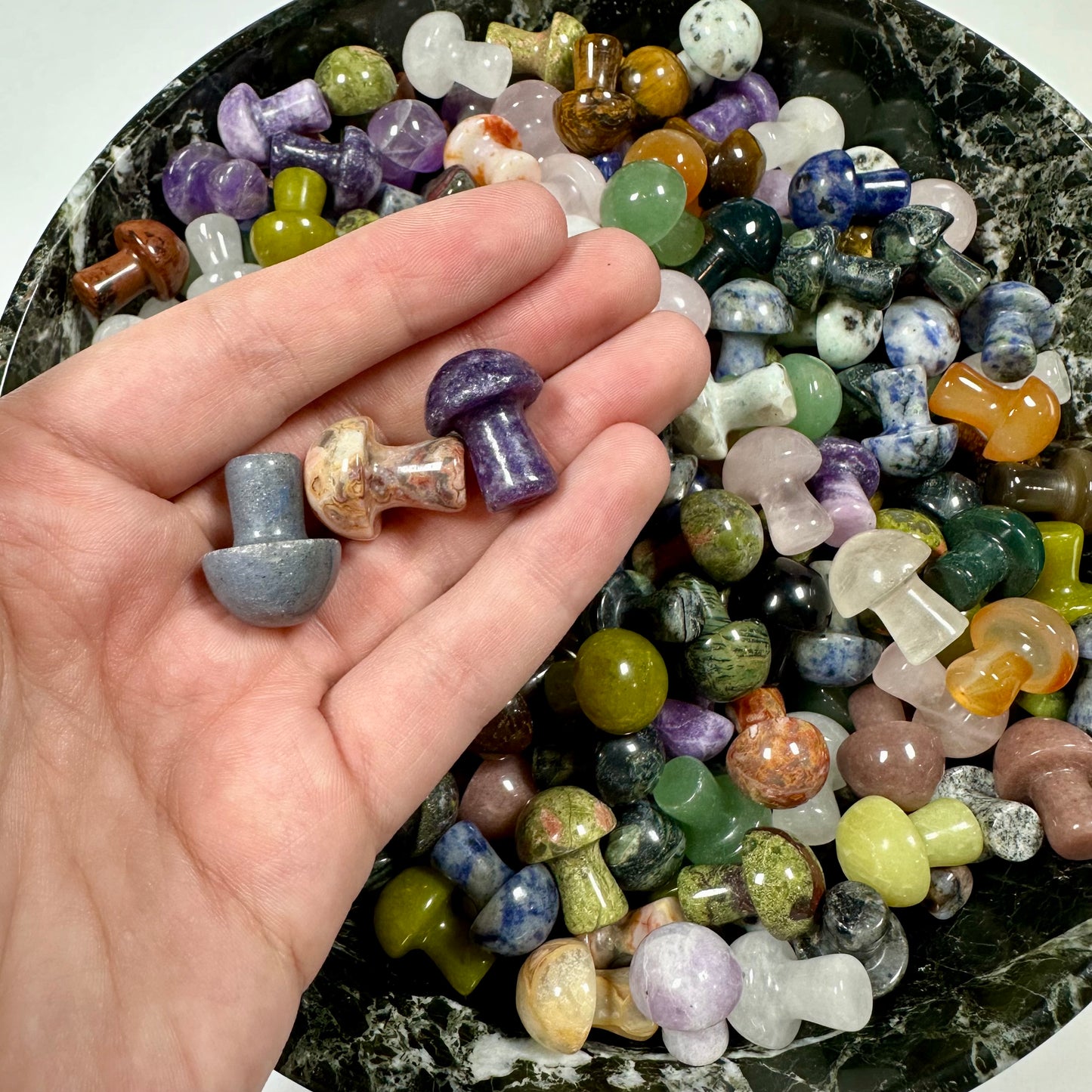 3 Mystery Mini Mushrooms