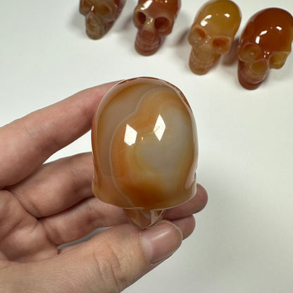 Carnelian Agate Skull (E)