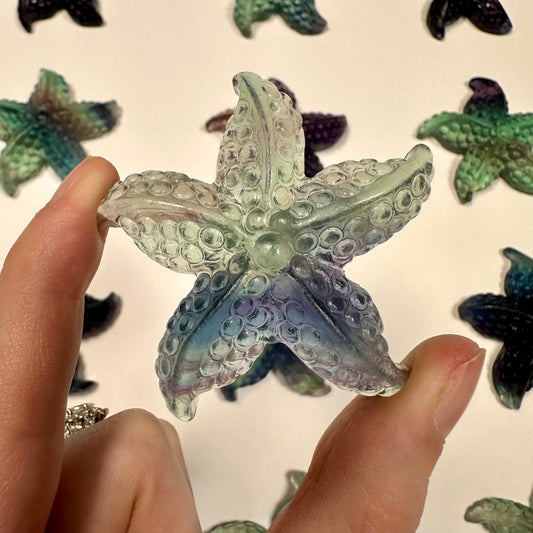 Gorgeous fluorite starfish (G)