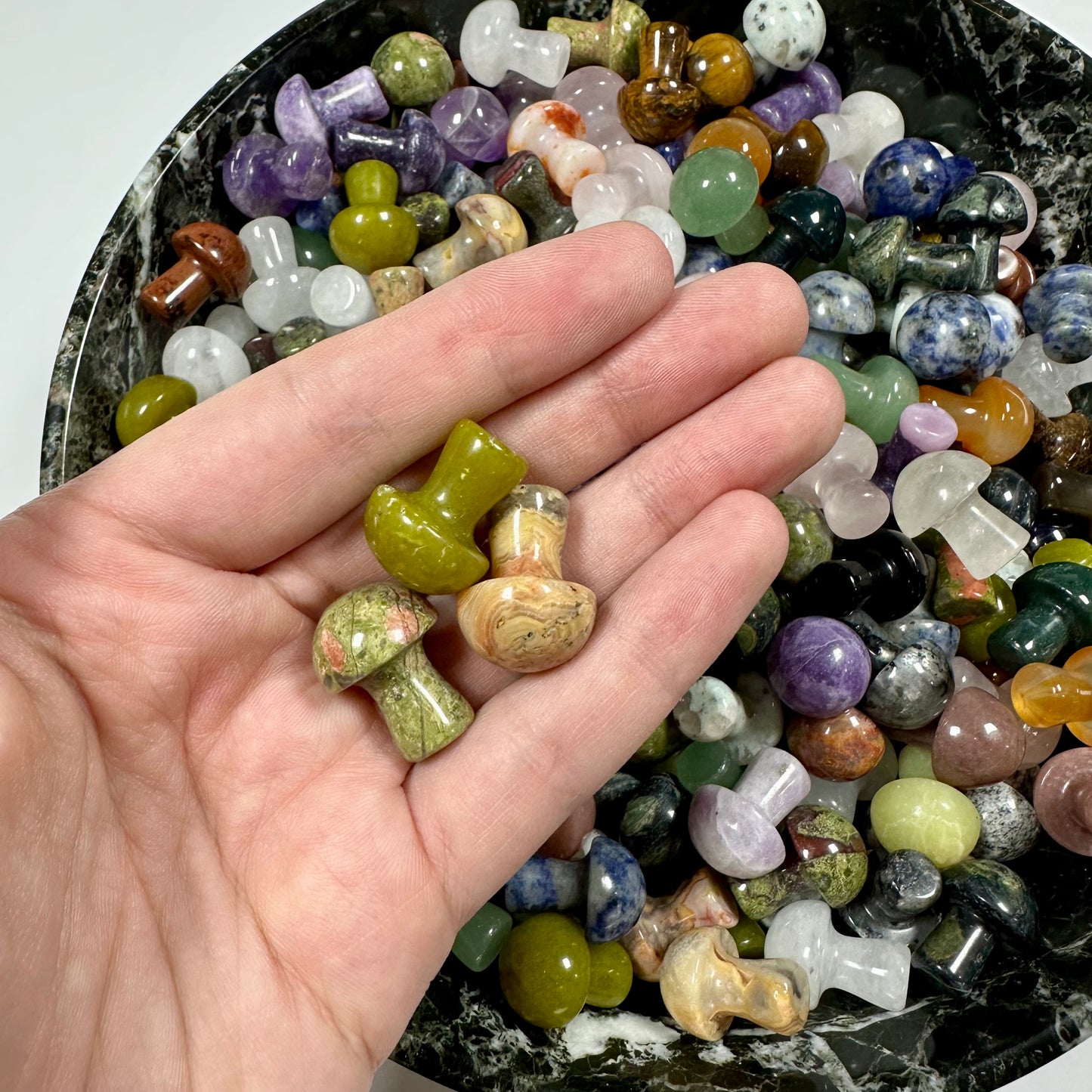 3 Mystery Mini Mushrooms