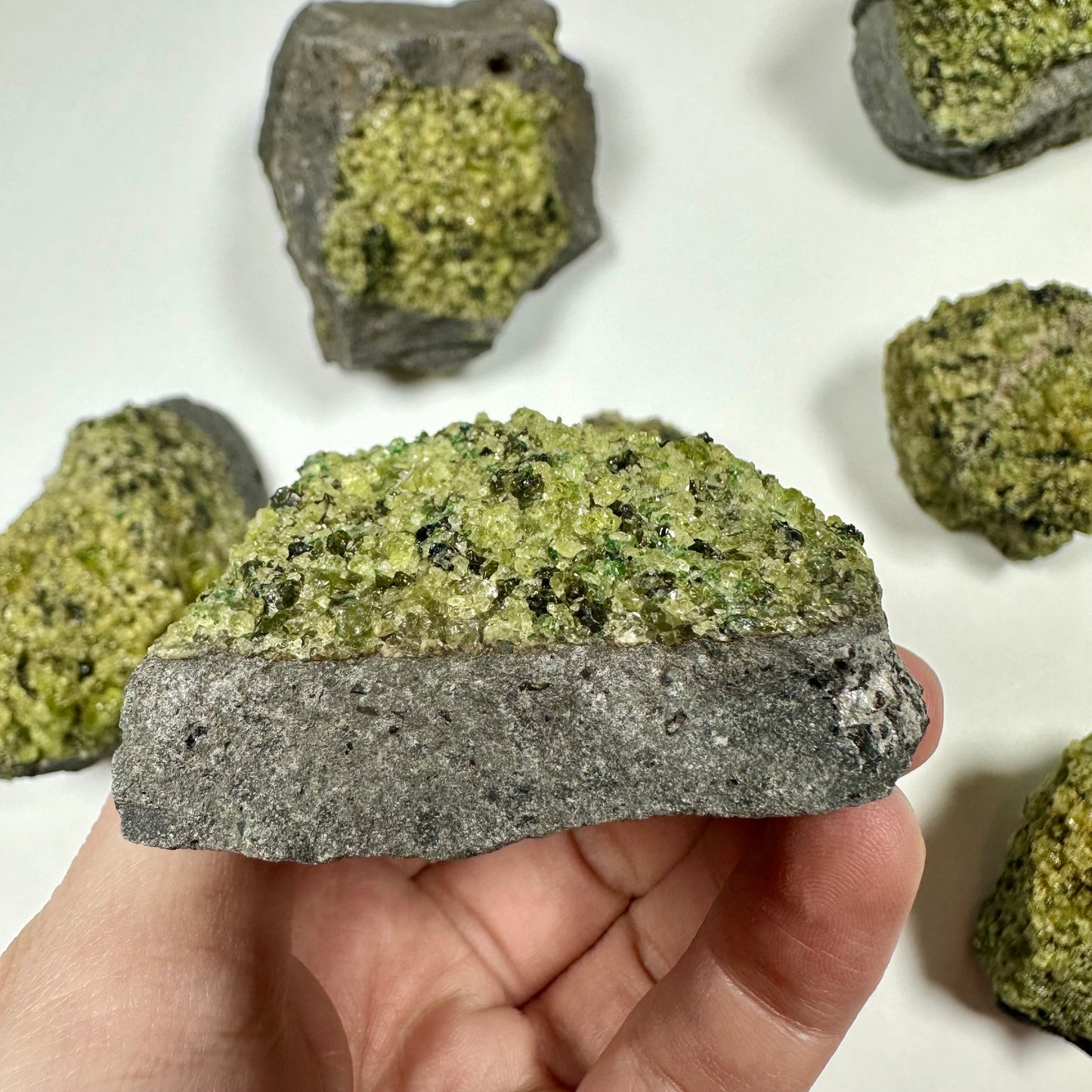 Peridot Cluster on Basalt (C)