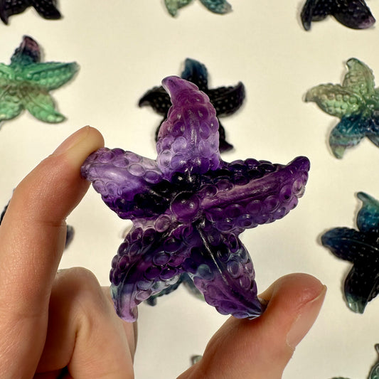 Gorgeous fluorite starfish (L)