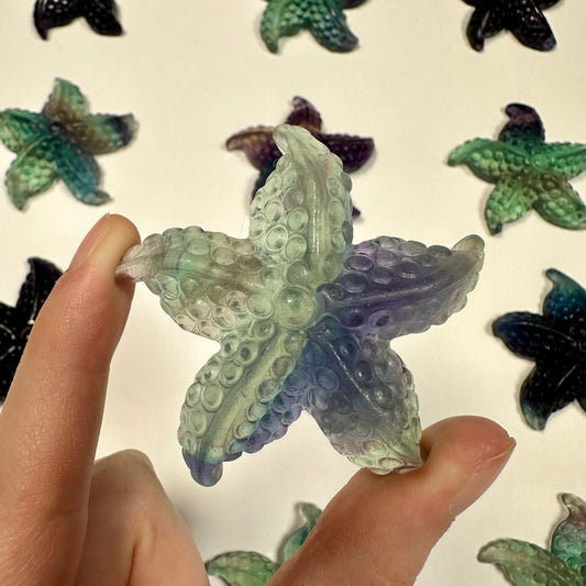 Gorgeous fluorite starfish (E)