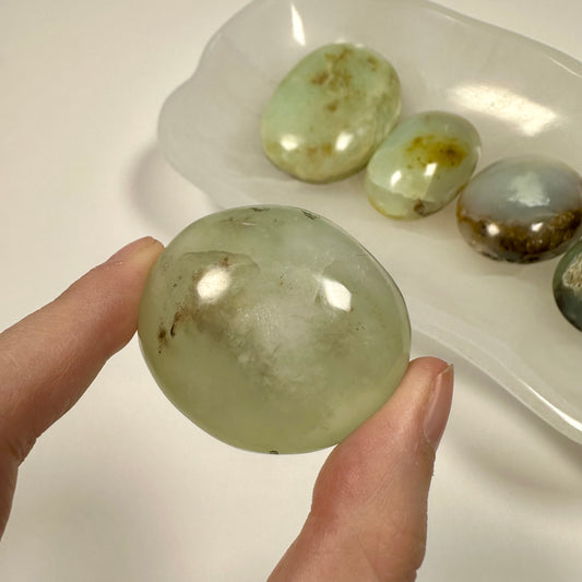 Peruvian Blue Opal Palm Stone (A)