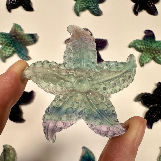 Gorgeous fluorite starfish (C)