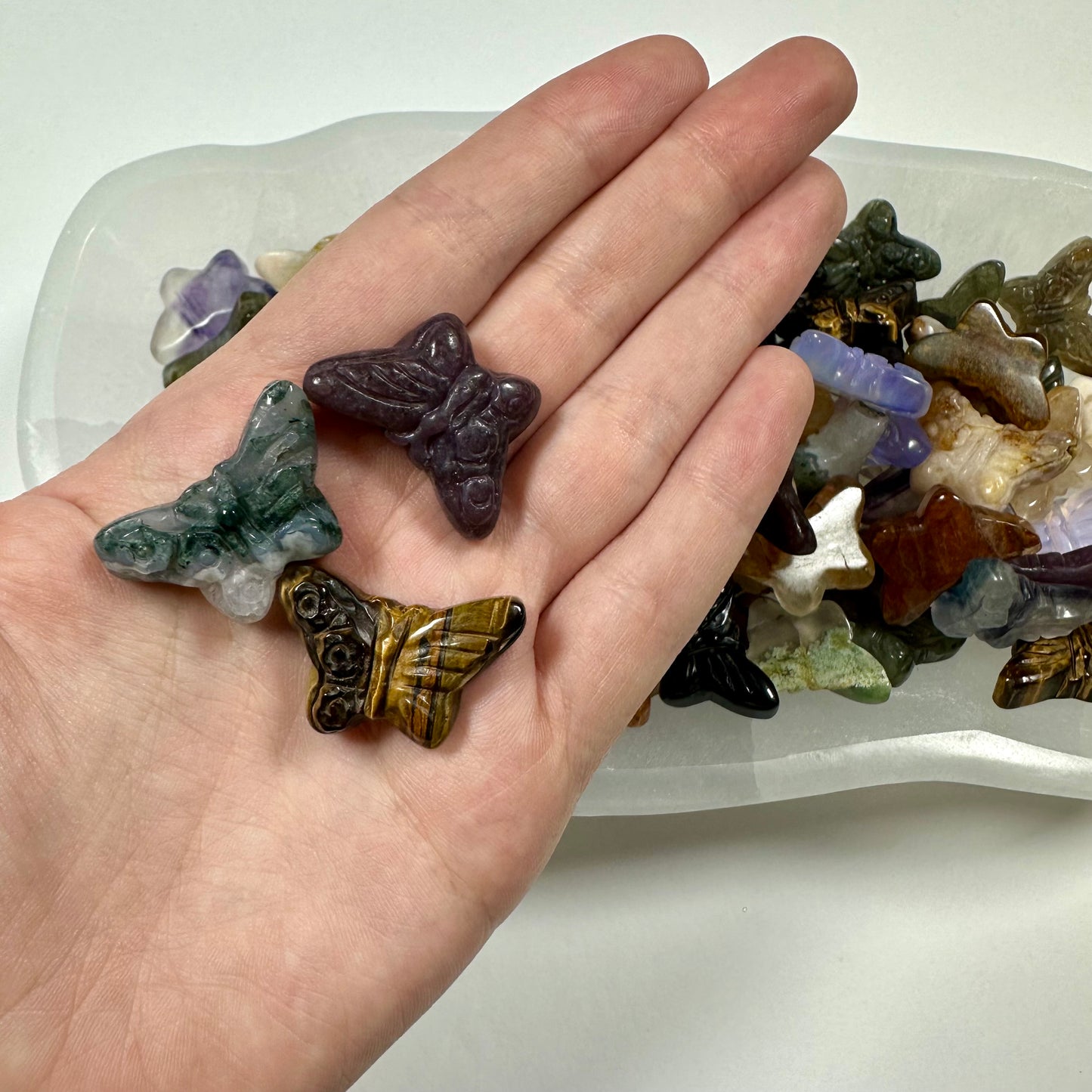 3 Mystery Mini Butterflies