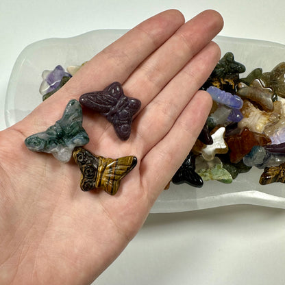 3 Mystery Mini Butterflies