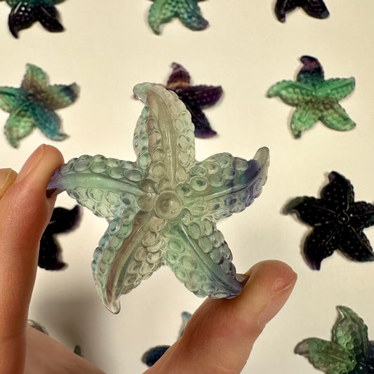 Gorgeous fluorite starfish (A)