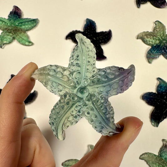 Gorgeous fluorite starfish (M)