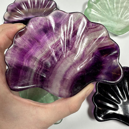 Fluorite Seashell Bowl (B)