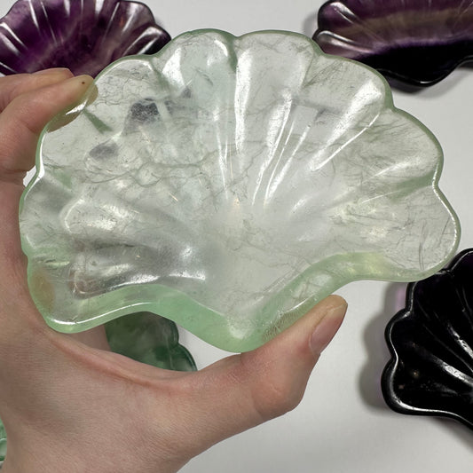 Fluorite Seashell Bowl (D)
