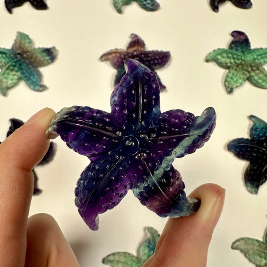 Gorgeous fluorite starfish (F)