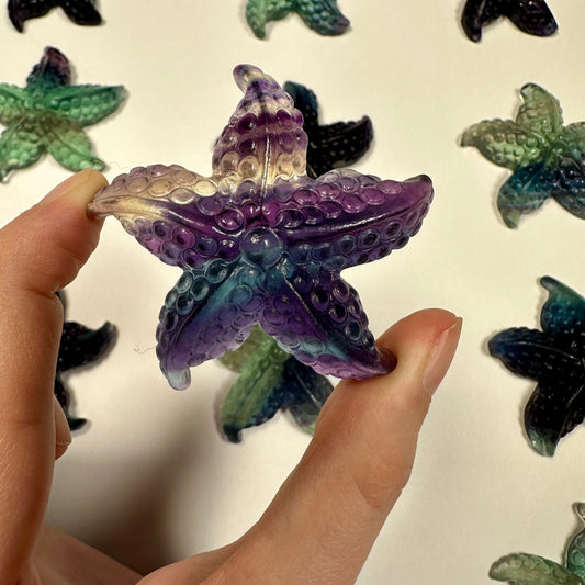 Gorgeous fluorite starfish (J)