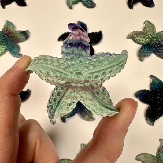 Gorgeous fluorite starfish (I)