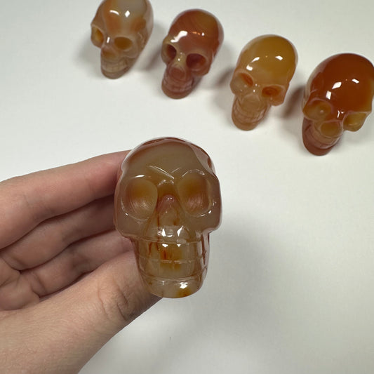 Carnelian Agate Skull (D)
