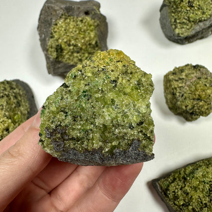Peridot Cluster on Basalt (B)